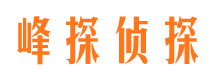 江北区资产调查